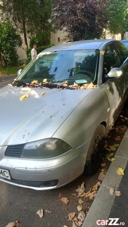SEAT Ibiza 2004 — imagine 6