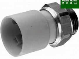 Termocupla Peugeot 207 2005