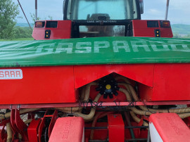 Semanatoare Gaspardo