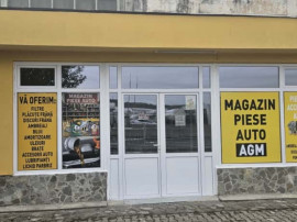Piese Auto Maracineni si Argeselu