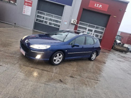 Peugeot 407sw, 2007, 1.9tdi = rate cu buletinul
