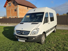 Autoturism Mercedes-Benz Sprinter 319 CDI, 2009