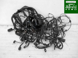 Instalatie Electrica Renault Master 1997