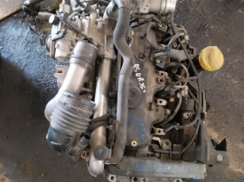 Curea transmisie cu caneluri Dacia Sandero