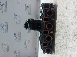 Galerie Admisie Plastic Skoda Fabia 2 2010