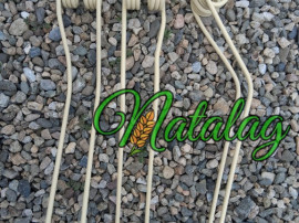 Gheare grebla Krone Ks