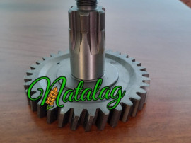 Pinion cositoare Kuhn GMD