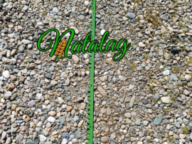 CUTIT PRESA KRONE 1550