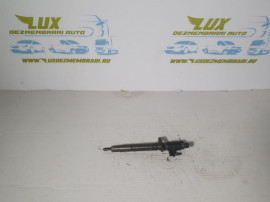 Injector Injectoare FW93-9K546-AB 0445117053 306DT FW939K546AB 0445117