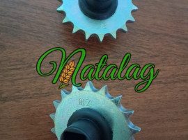 Pinion semănătoare Matermacc 8100