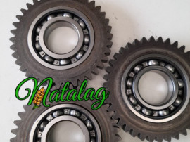 Pinion cositoare Vicon