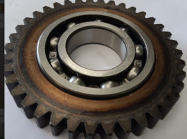 Pinion 38 d cositoare Vicon