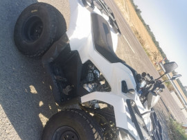 Atv acces shide... 200...