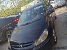 Peugeot 307 1.6i 2006