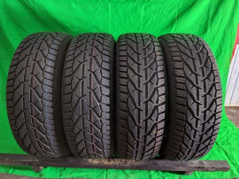 Anvelope iarna Winter 225/55/R17 XL-101V