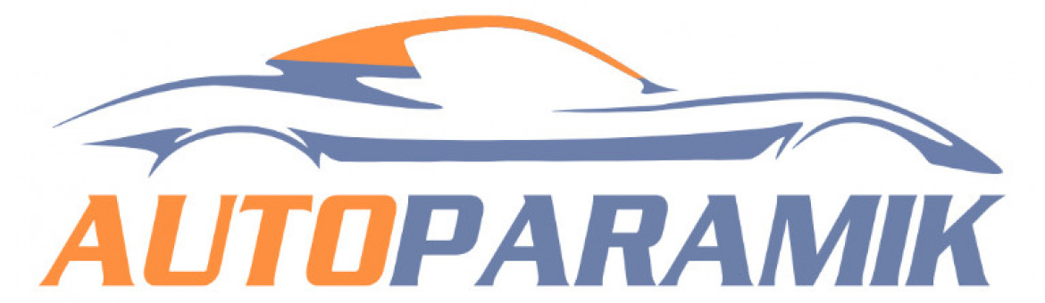 Autoparamik Srl 